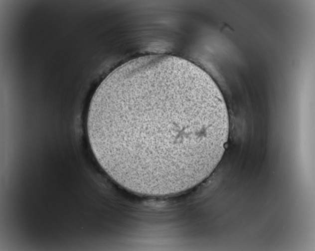 X0000089710354200707201805