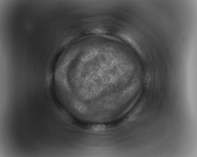 X0000089710355200707201805