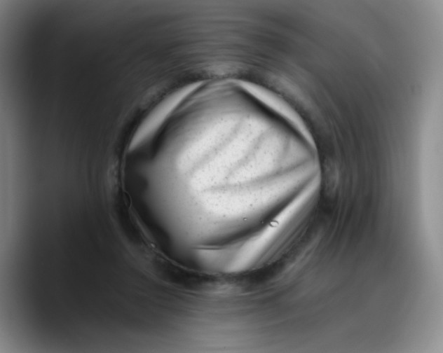 X0000089710356200707201805