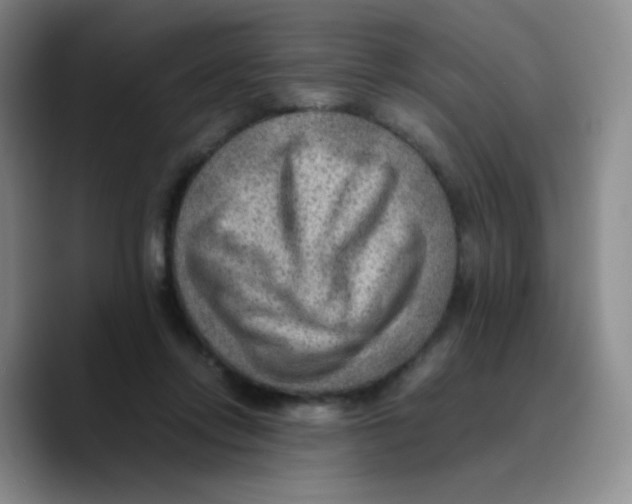 X0000089710358200707201805