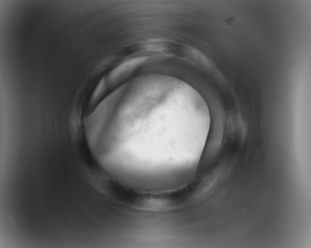 X0000089710360200707201805