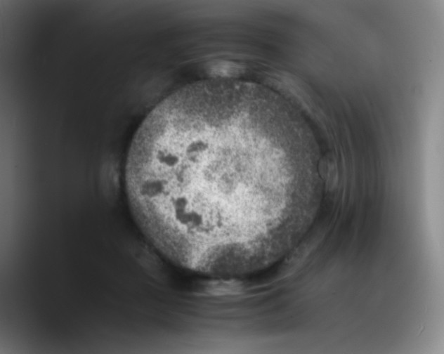 X0000089710363200707201805