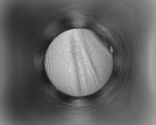 X0000089710364200707201805