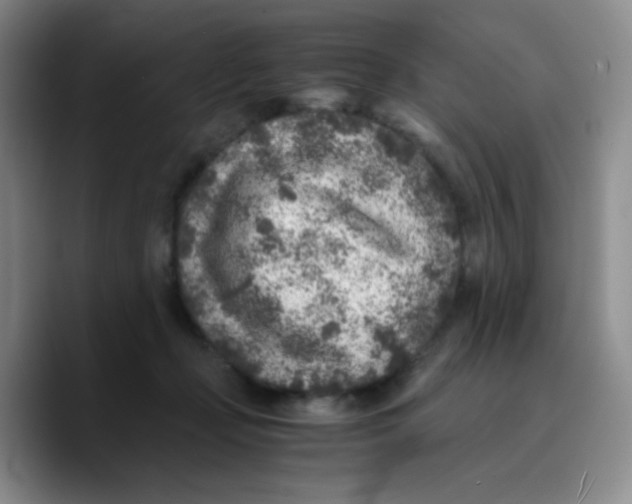 X0000089710365200707201805