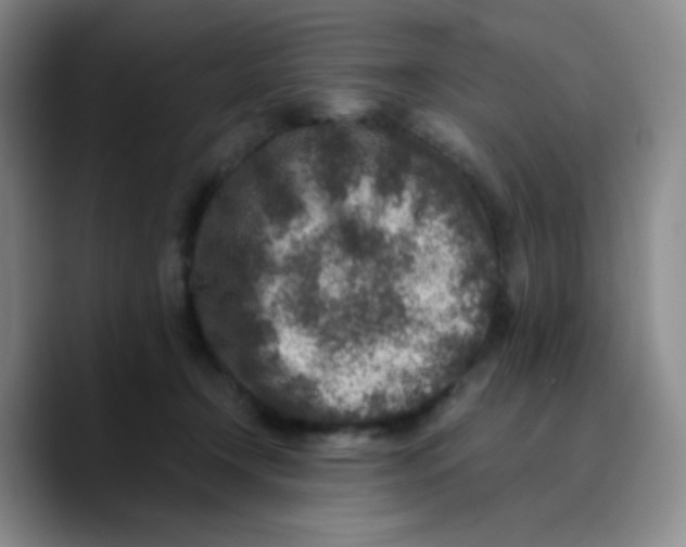X0000089710366200707201805