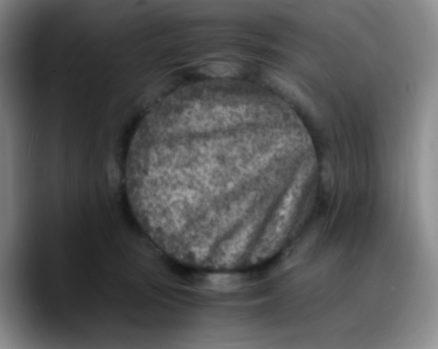 X0000089710371200707201805