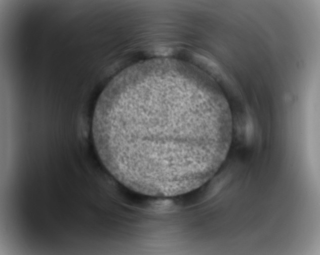 X0000089710374200707201805