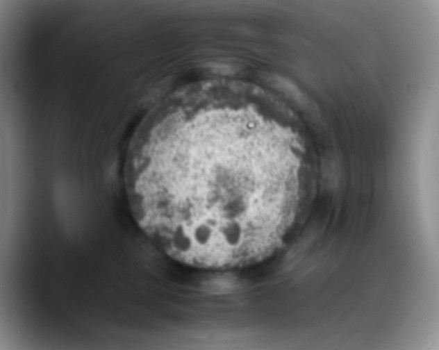 X0000089710377200707201805