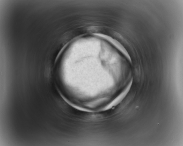 X0000089710379200707201805