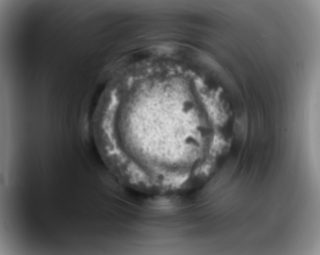 X0000089710381200707201805