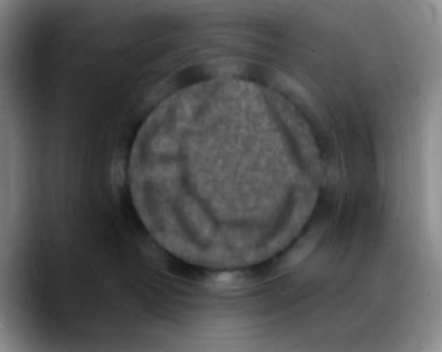 X0000089710382200707201805