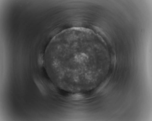 X0000089710383200707201805