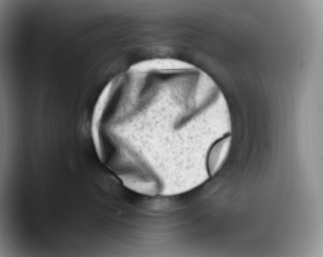 X0000089710384200707201805
