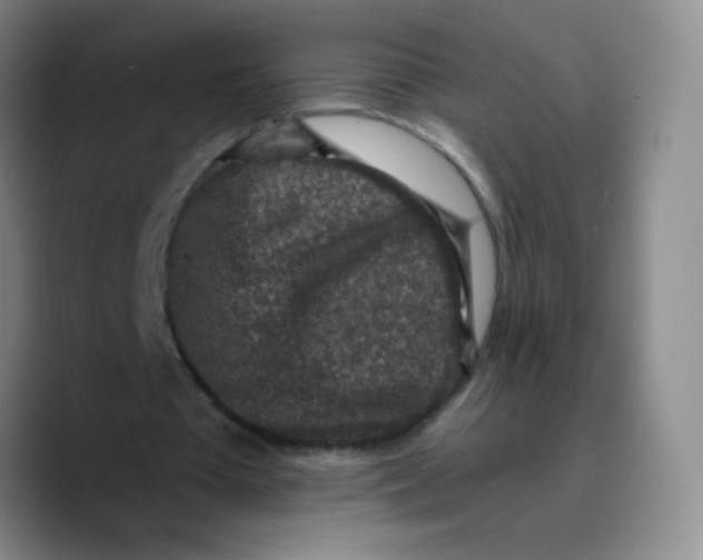 X0000089710385200707201805