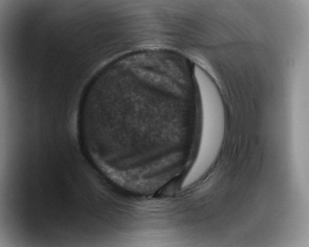 X0000089710387200707201805