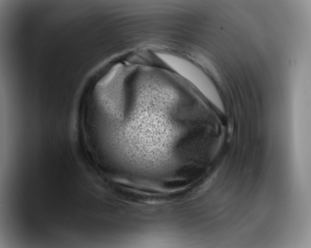 X0000089710388200707201805