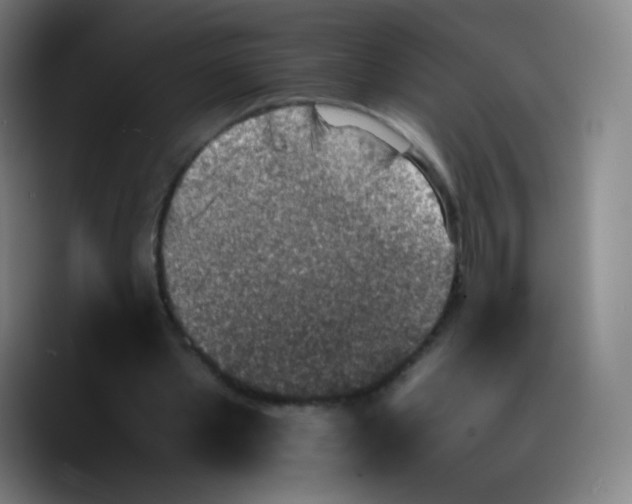 X0000089710389200707201805