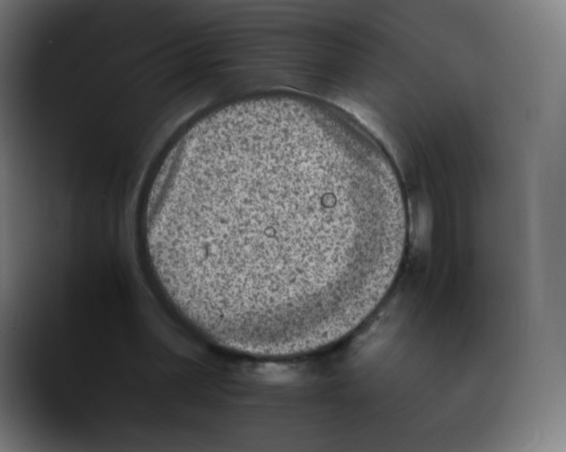 X0000089710390200707201805