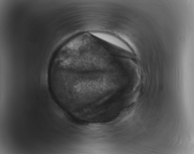 X0000089710391200707201805