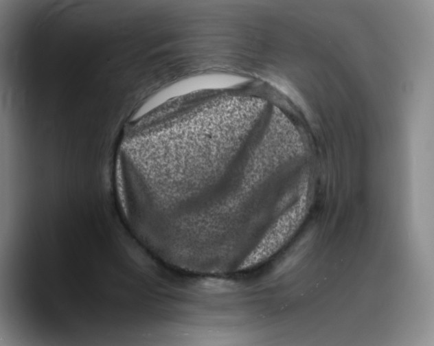 X0000089710393200707201805