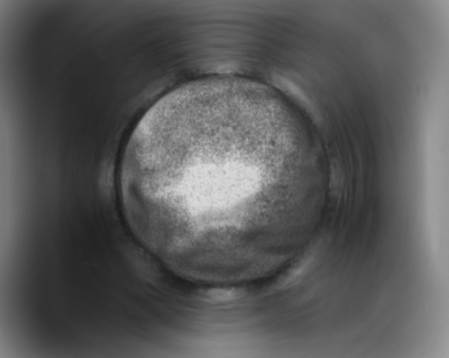 X0000089710394200707201805