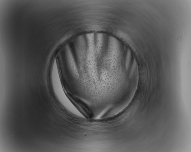 X0000089710395200707201805