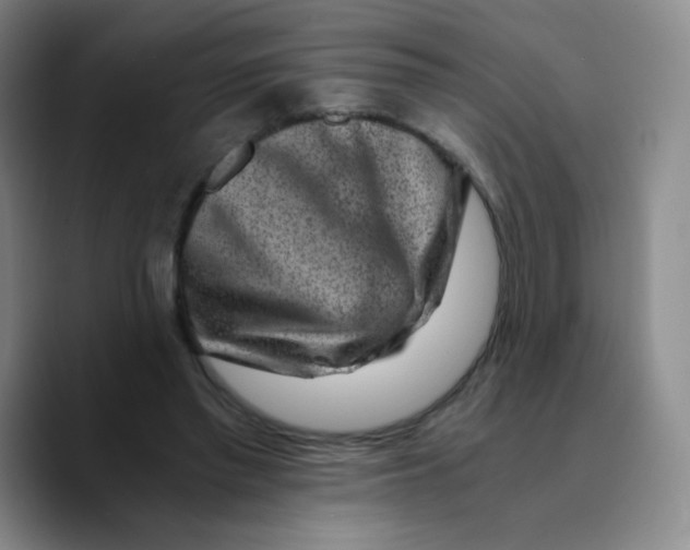 X0000089710397200707201805