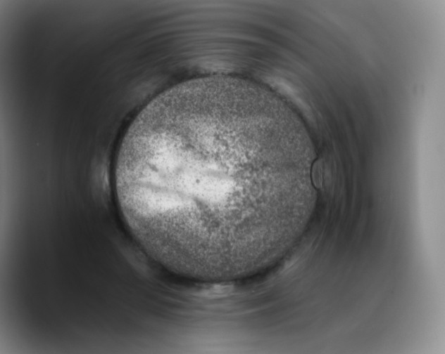 X0000089710398200707201805