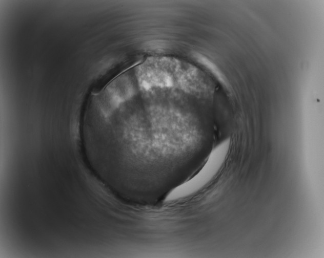 X0000089710399200707201805