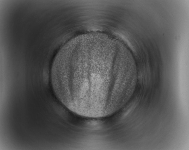 X0000089710402200707201805