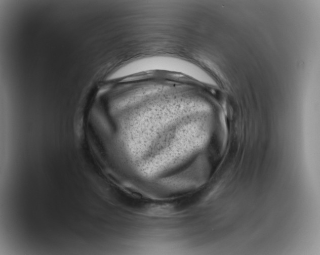 X0000089710403200707201805