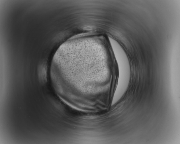 X0000089710404200707201804