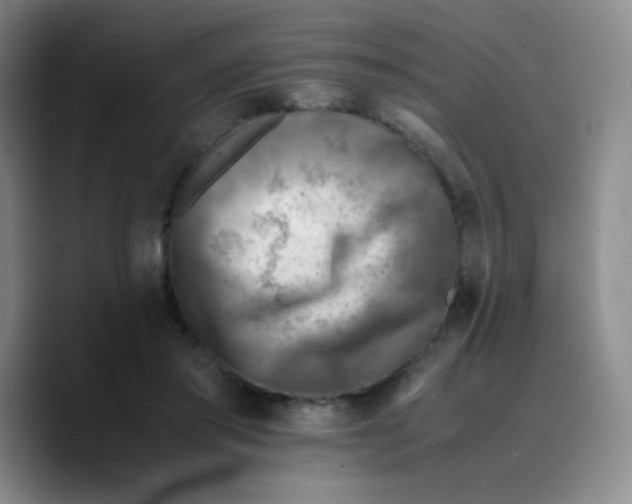 X0000089710405200707201804