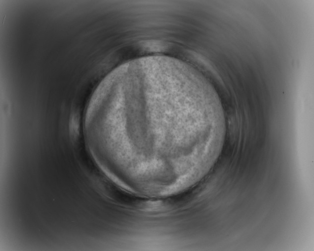 X0000089710406200707201804