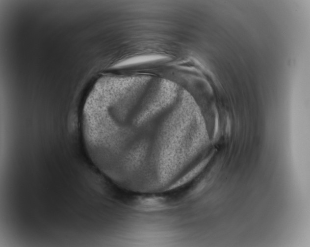 X0000089710407200707201804