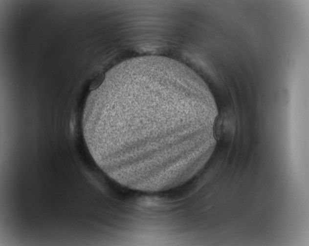 X0000089710408200707201804