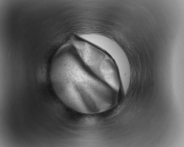 X0000089710416200707201804