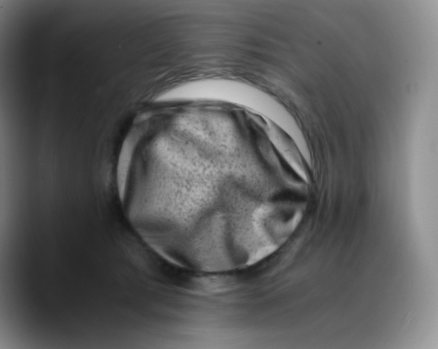 X0000089710417200707201804