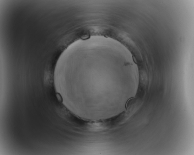 X0000089710419200707201804