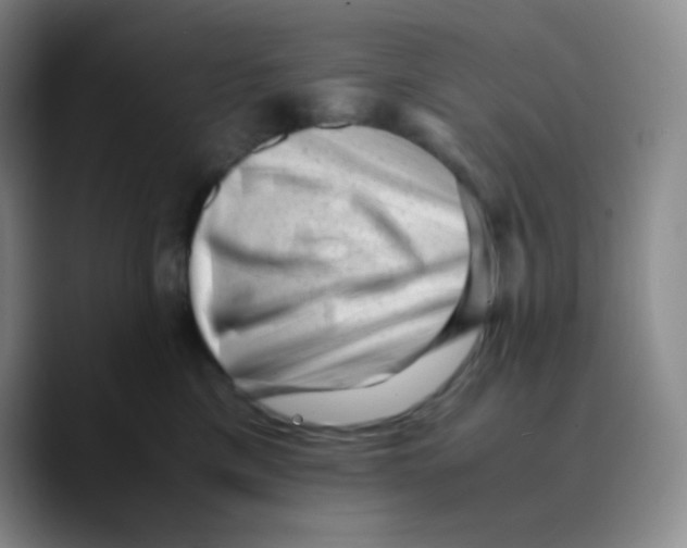 X0000089710425200707201804