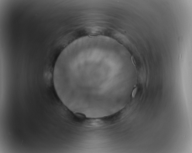 X0000089710427200707201804