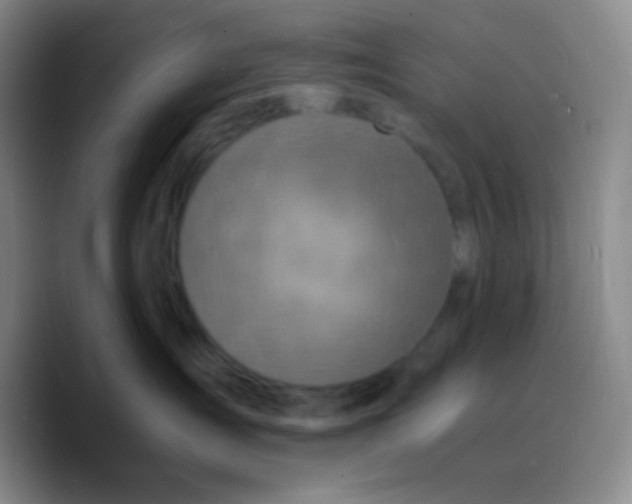 X0000089710431200707201804