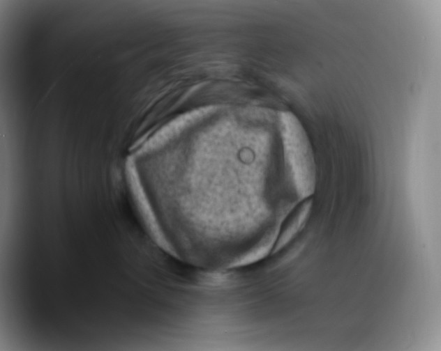 X0000089710432200707201804