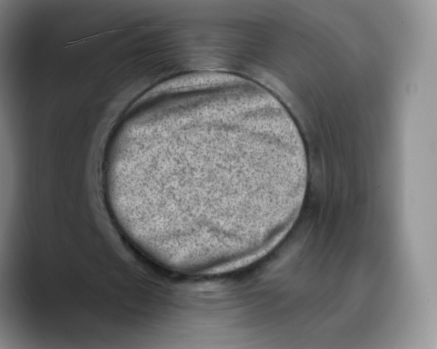 X0000089710433200707201803