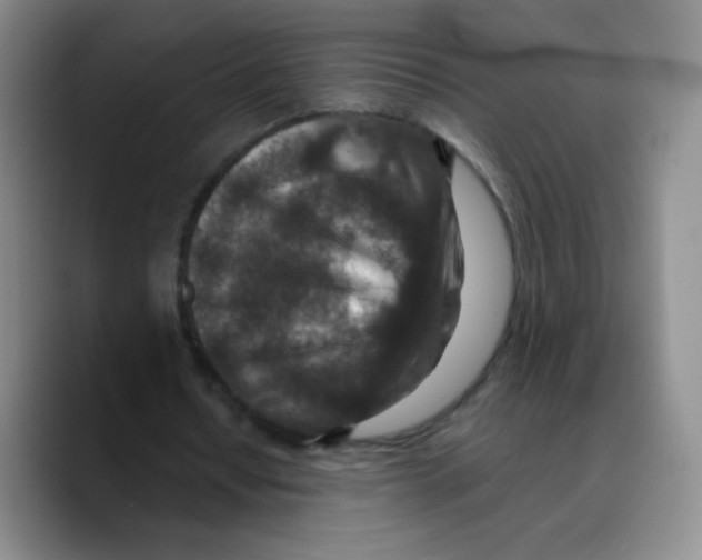 X0000089710434200707201804