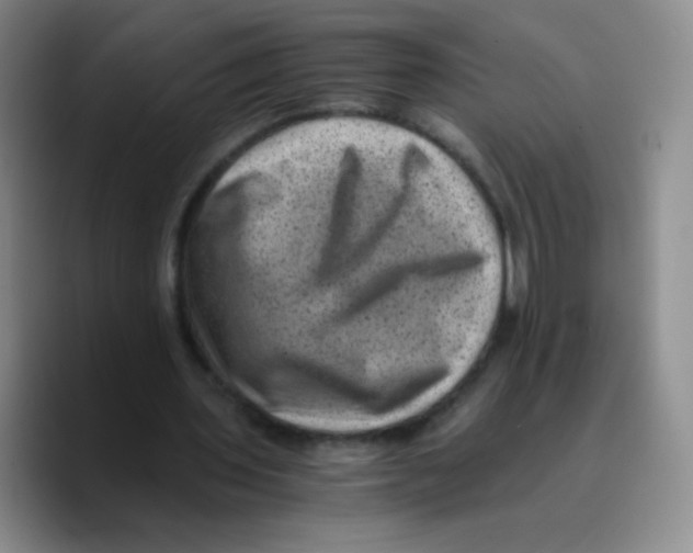 X0000089710435200707201804