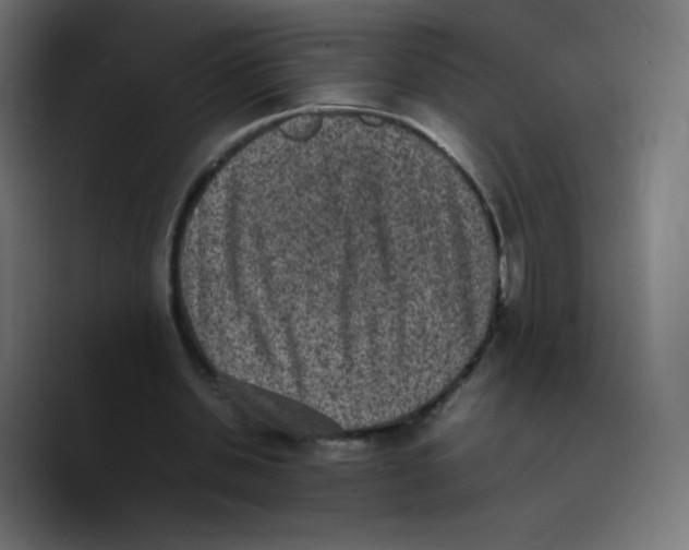X0000089710438200707201804