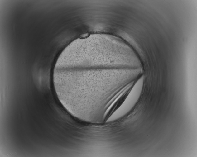 X0000089710442200707201804
