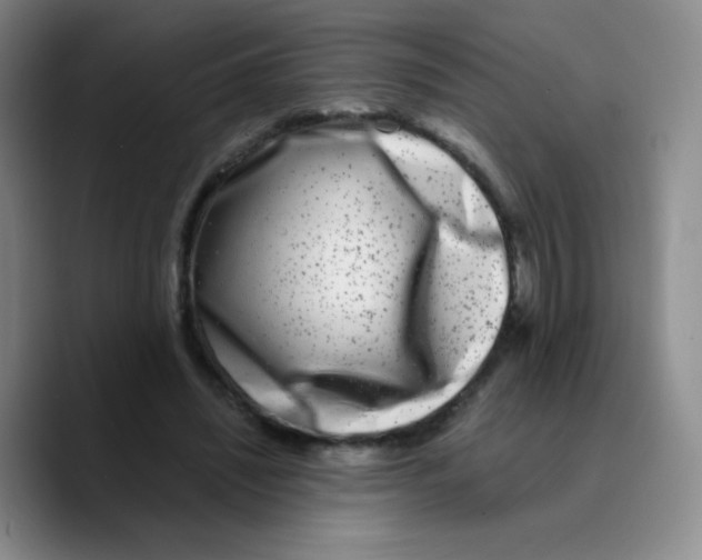 X0000089710444200707201804