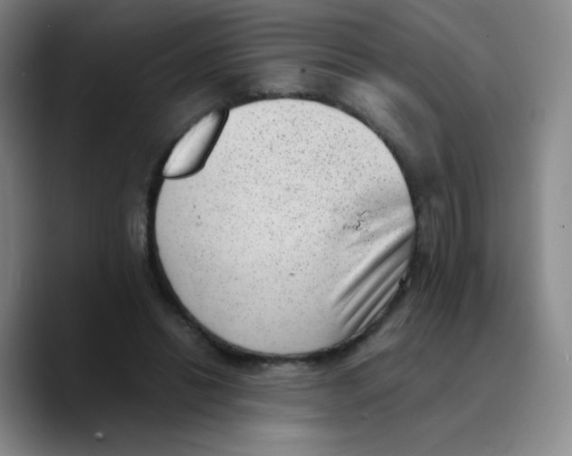 X0000089710446200707201804